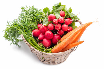 Basket with vegetables. Carrots and radishes with tops. Isolate