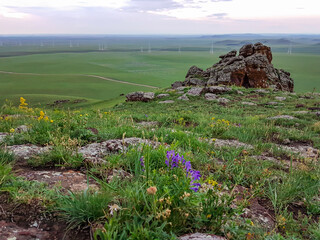 A field of wind turbines build on a vast pasture in Xilinhot in Inner Mongolia. There are a few...