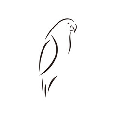 Bird vector illustration. Line art.