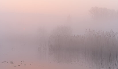 Obraz na płótnie Canvas Foggy dawn in the Dutch countryside near a windmill.