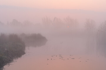 Fototapeta premium Foggy dawn in the Dutch countryside near a windmill.