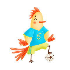 Soccer cock isolated on white background. Soccer animals.