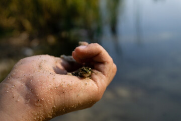 Exploration of wildlife by teenagers on vacation