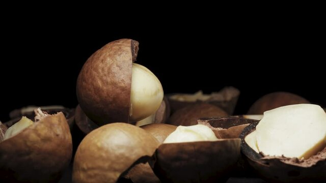 Macadamia nut in shell rotates on a black background. shell with nuts.