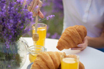 Close up of female hands putting honey using wooden spoon on fresh croissants, vase with lavender bouquet and glasses of orange juice on table. Beautiful decoration in blooming lavender field.