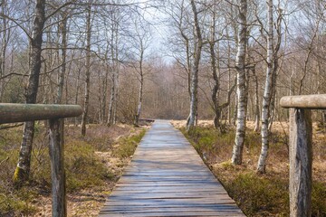 Rotes Moor - Hochmoor - Rhön Ausflugs- und Wanderziel