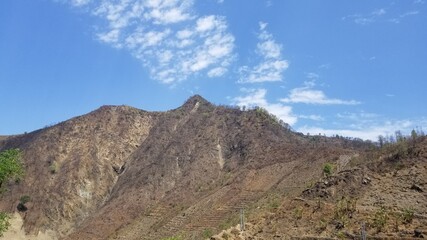 landscape with blue sky and clouds