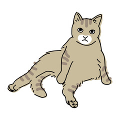 おじさんのような座り方をしている猫の全身イラスト