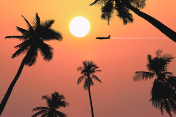 Dramatic atmosphere panorama view of beautiful sunset on twilight sky with silhouette palm trees and aircraft fly over for travel and transportation business presentation and report background.