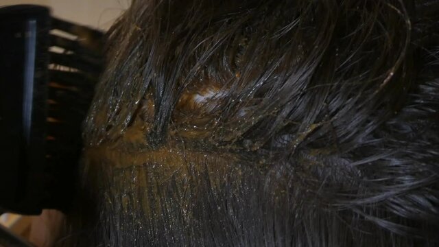 Woman applying ayurvedic amla powder on hair roots, amla mask, hair dye, 4K closeup