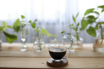 Coffee in glass and plants on glass vase and cup