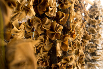 palm tree leaves balinese fishing utensil 