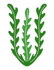 Seaweed spirulina logo icon on white background
