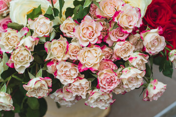 A bouquet of blooming delicate roses. Festive floral background in pastel colors. Pastel pink roses close-up.