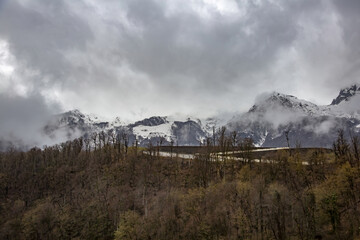 Foggy haze and dramatic sky at the mountainside with perennial trees