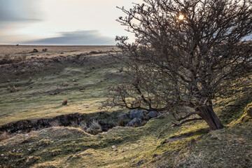 Rugged Dartmoor near Cox Tor