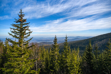 Mountain landscape with trees on mountain slopes. Selective focus.