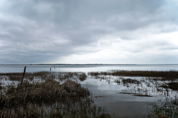 A cove on a cloudy and overcast day during springtime. The cove also referred to as an embayment is...