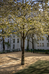 Paris Montmartre 1192