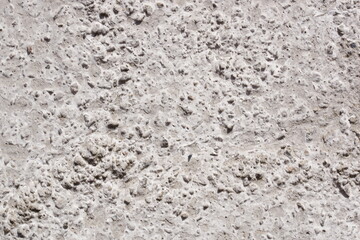 Texture. the concrete wall, a sunny day.