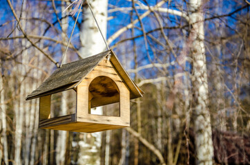 Birdhouse for birds in the forest on a birch tree.