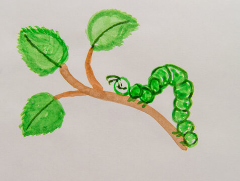 Green Caterpillar Crawling On A Branch With A Leaf, Cute Children's Watercolor Drawing