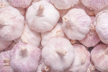 Group of garlic isolated on a white background.