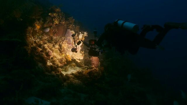 Professional diver / underwater photographer filming at night in coral reef of Caribbean Sea around Curacao