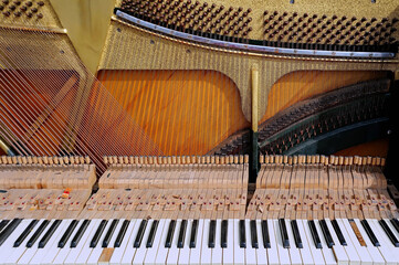 Close up of upright strings inside of grand piano outdoor