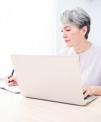 Senior asian woman using wireless laptop apps browsing internet.