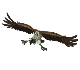 vulture