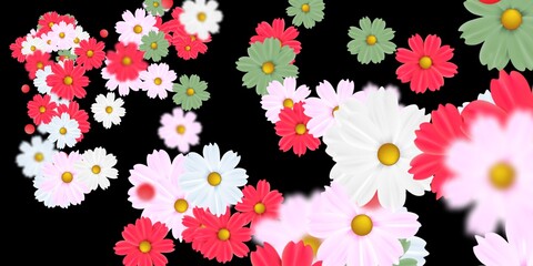 Sun Flower Stock Image Black Background