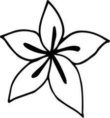 Single hand drawn tropical flower. In doodle style, black outline isolated on a white background. Design cute element for card, poster, social media banner, sticker. Vector illustration.
