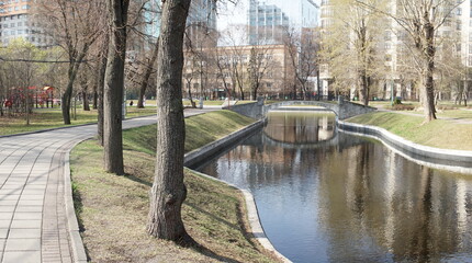 bridge in the park