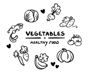Outline set of vegetables for your design. Hand-drawn vector illustration. Logotyre, card, label, banner, stamp. Pumpkin, cabbage, carrot, cucumber, tomato, radish, beetroot, squash.