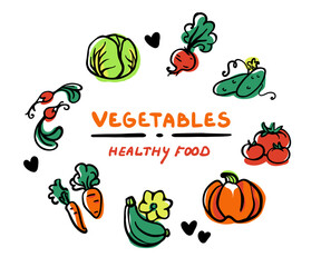 Colored set of vegetables for your design. Hand-drawn vector illustration. Logotyre, card, label, banner, stamp. Pumpkin, cabbage, carrot, cucumber, tomato, radish, beetroot, squash.