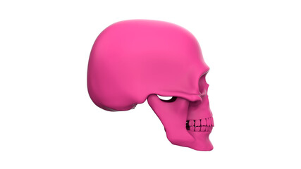 Skull in profile  isolated on a white background. 3d render pink skull