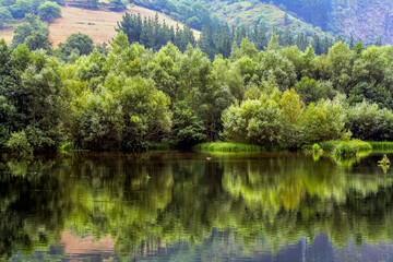 Green vegetation at the edge of the side with reflection in the water and idyllic landscape. Asturias Spain.