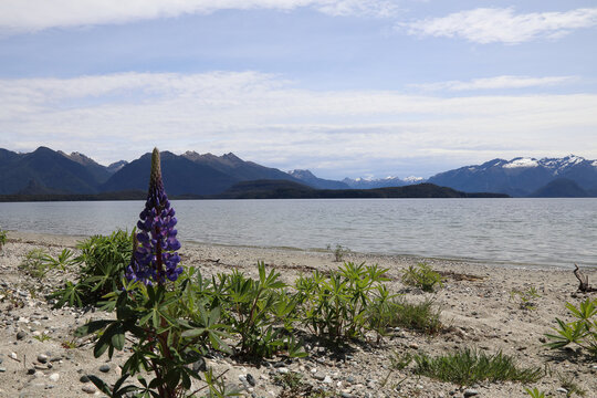 Lake Manapouri / Lake Manapouri