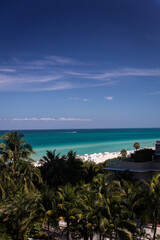 A picture of a distant horizon with green palm trees closest and then beach with white sands and aqua blue ocean with white boats in distance and beautiful blue sky with white clouds.
