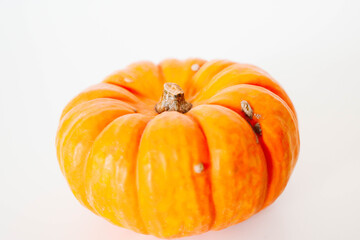 Isolated vivid pumpkin on white background