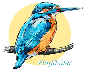Bird of kingfisher sits on a branch