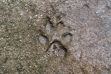 Pisada o Huella en la ciudad de Marsella o Marseille en el pais de Francia o France
