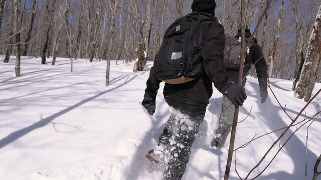 Videography of two young explorers, walking up the mountain in the skiing underfoot, bare pine trees covered with snow can be seen as well.