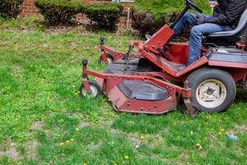 Obraz premium Utility worker in lawn mower gardener cutting the grass ride-on lawnmower