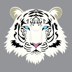 White tiger portrait