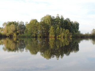 Fototapeta na wymiar Mirror reflection of trees in the pond.
