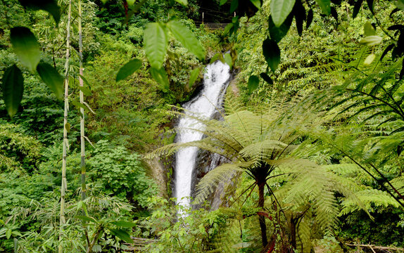 Gitgit Campuhan waterfall in singaraja regency of bali