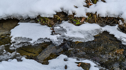 ice built up over small creek stream