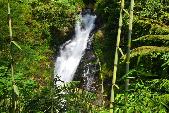 Gitgit Campuhan waterfall in singaraja regency of bali